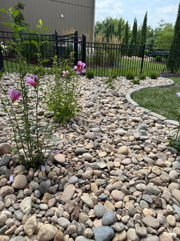 Multi-color river rock in a decorative landscape bed