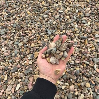 Colorado River Rock 1.25-1.75" rainbow colored decorative rock for landscaping